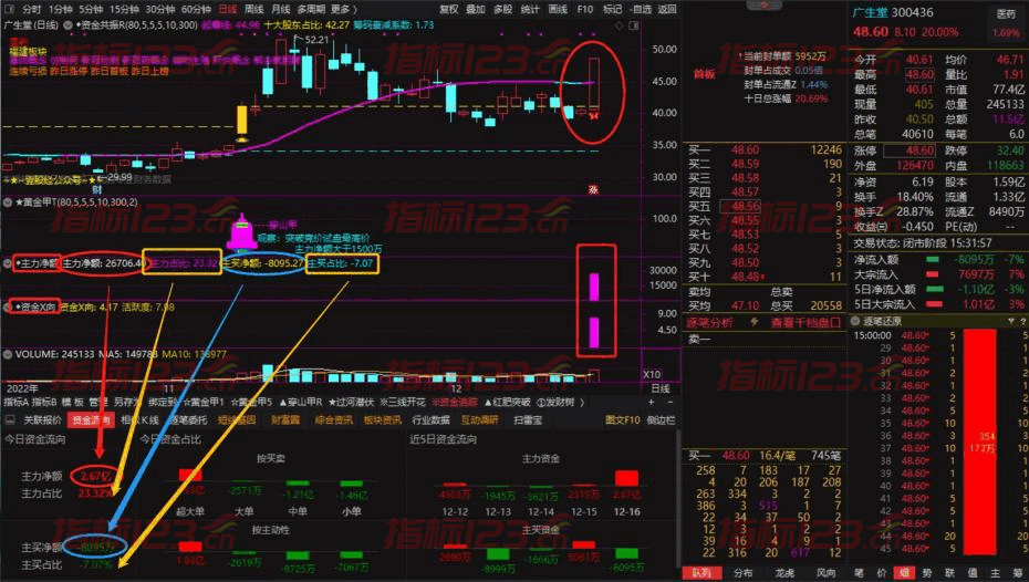 情绪龙战法系统